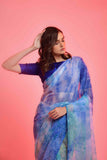 Prizam Sequence Strip Chiffon Saree