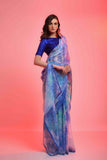 Prizam Sequence Strip Chiffon Saree