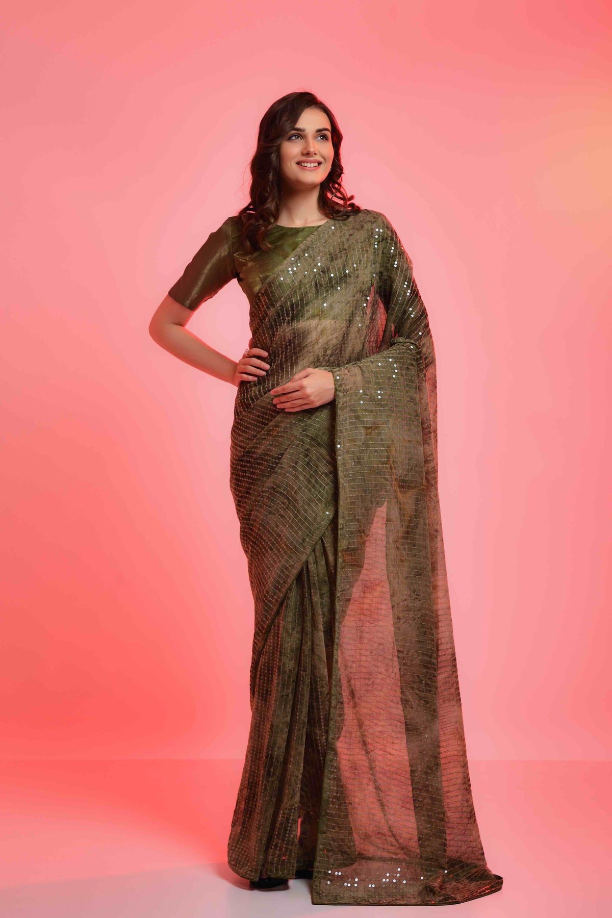 Prizam Sequence Strip Chiffon Saree