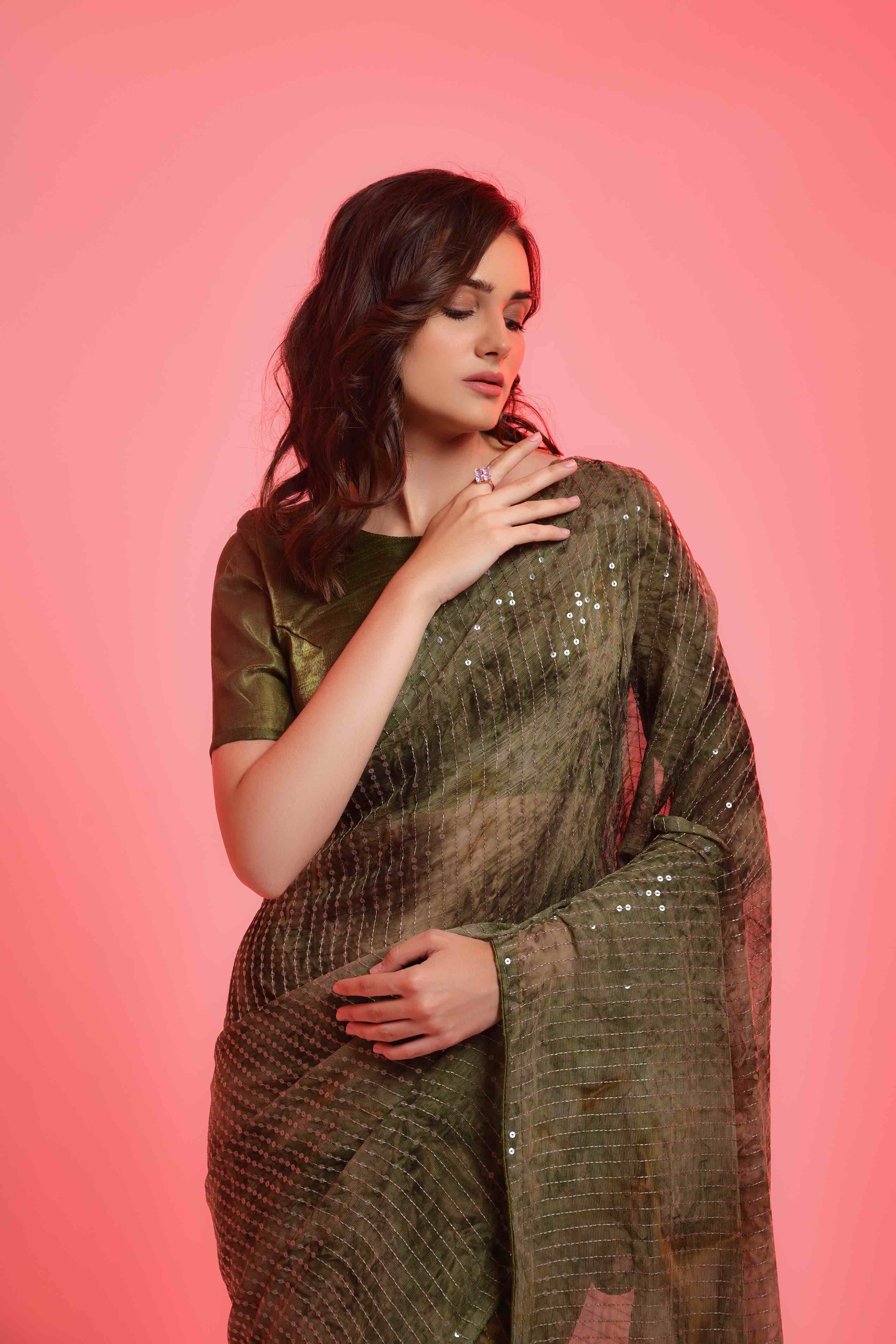 Prizam Sequence Strip Chiffon Saree