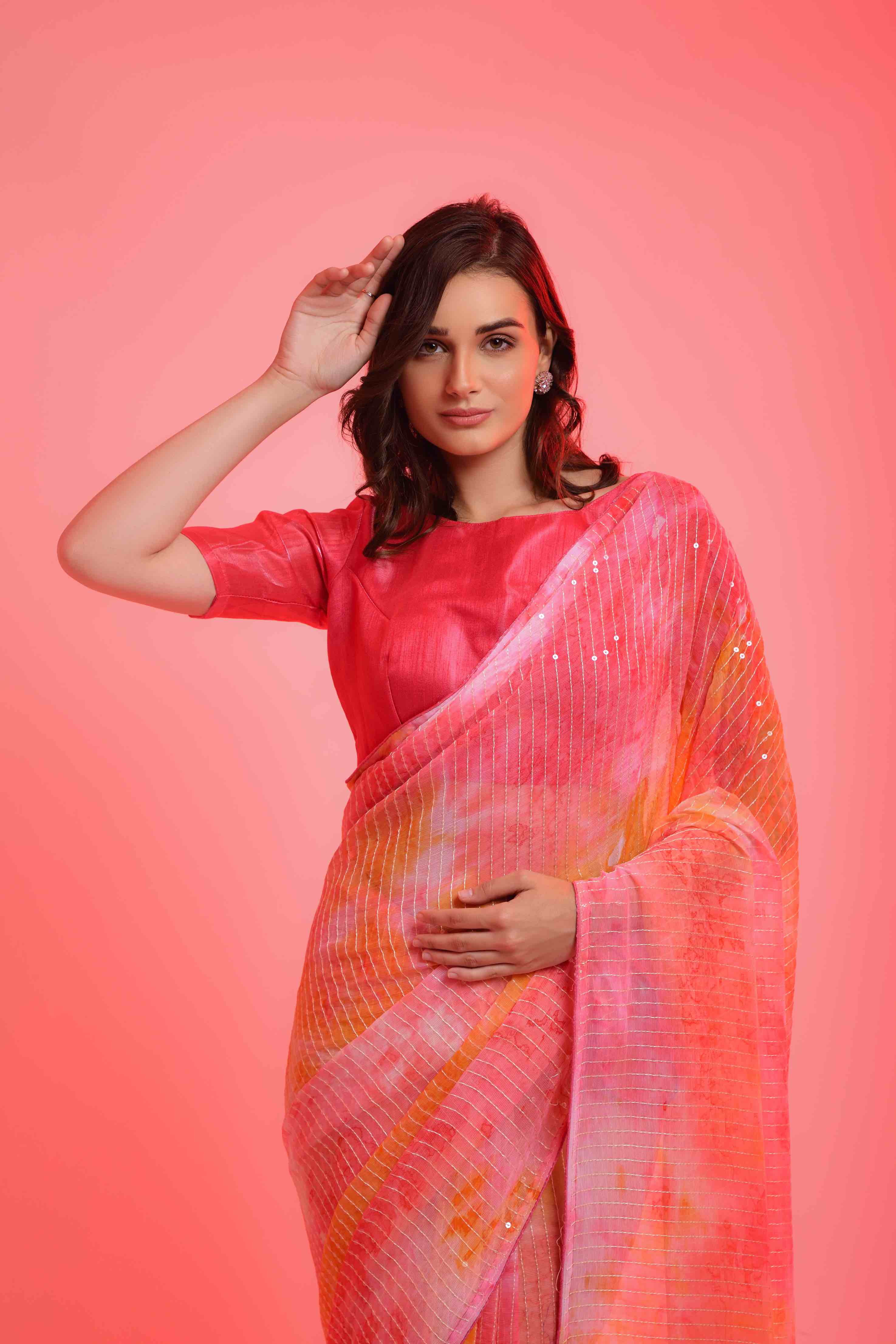 Prizam Sequence Strip Chiffon Saree