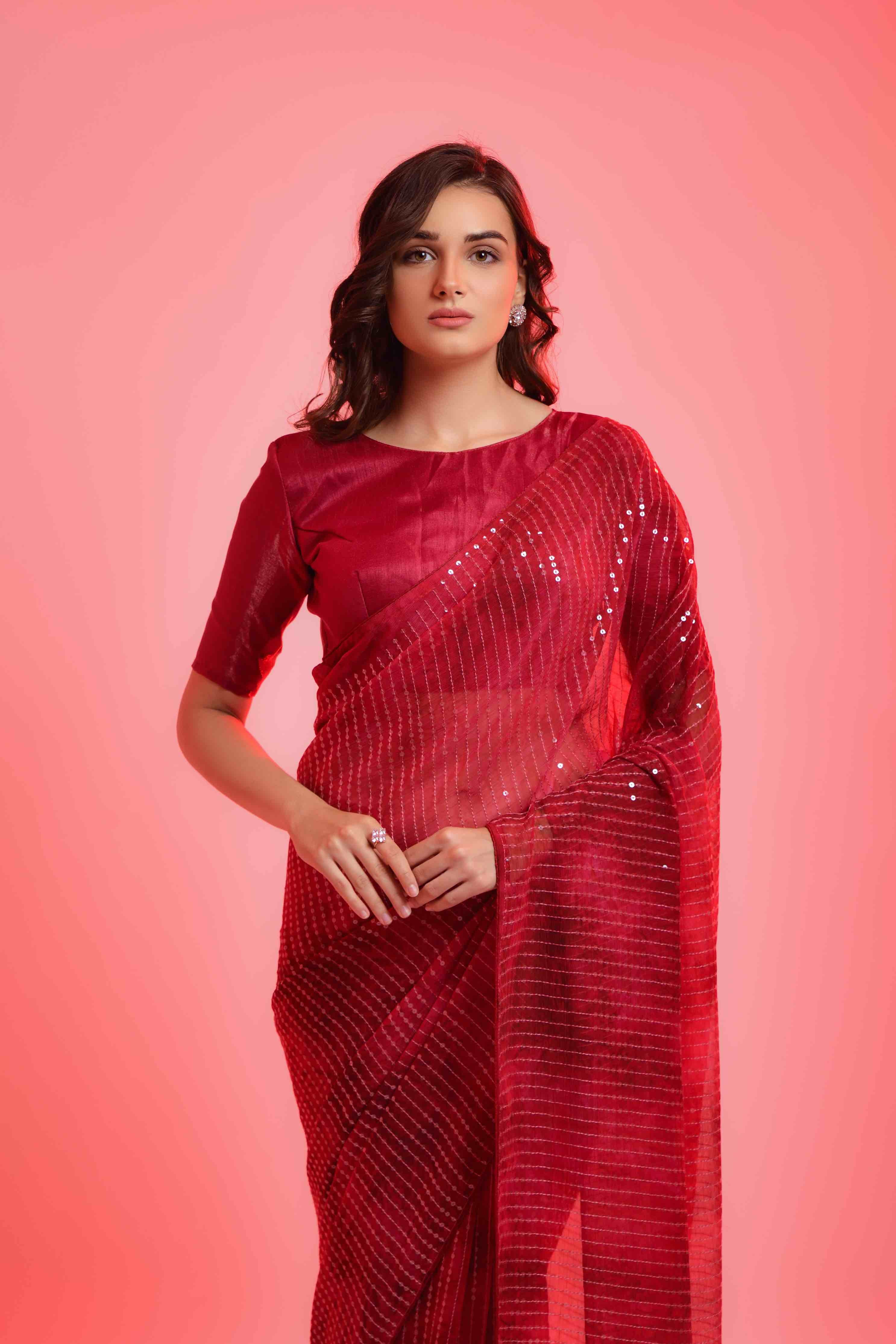 Prizam Sequence Strip Chiffon Saree