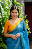 Kota Doria printed saree