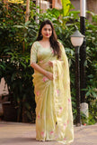 Organza Cut Work Embroidery Saree